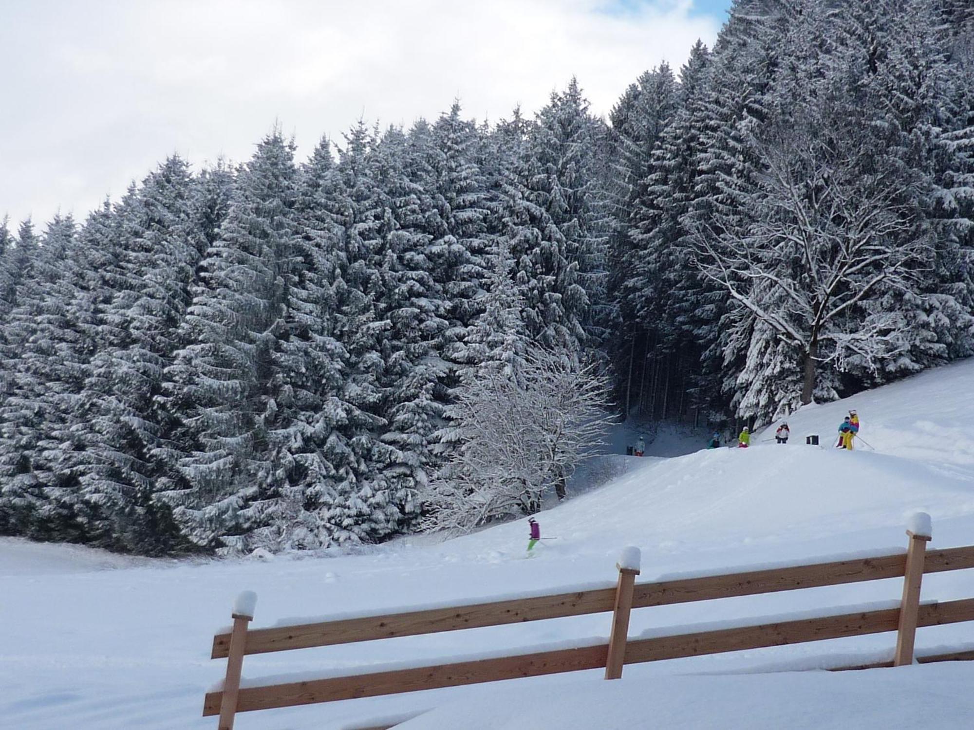 Penthouse Alpine Living Direkt An Der Skipiste By Schladmingurlaub 하우스 임 엔슈탈 외부 사진